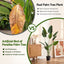AP-TREE-BIRD-150-05.jpg