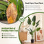 AP-TREE-BIRD-180-05.jpg