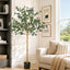 AP-TREE-EUCALY-150-00.jpg