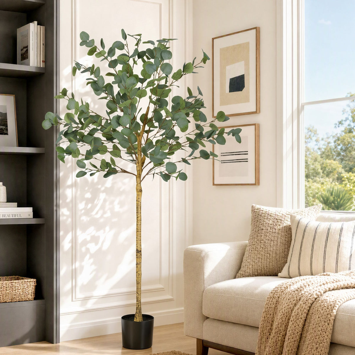 AP-TREE-EUCALY-150-00.jpg
