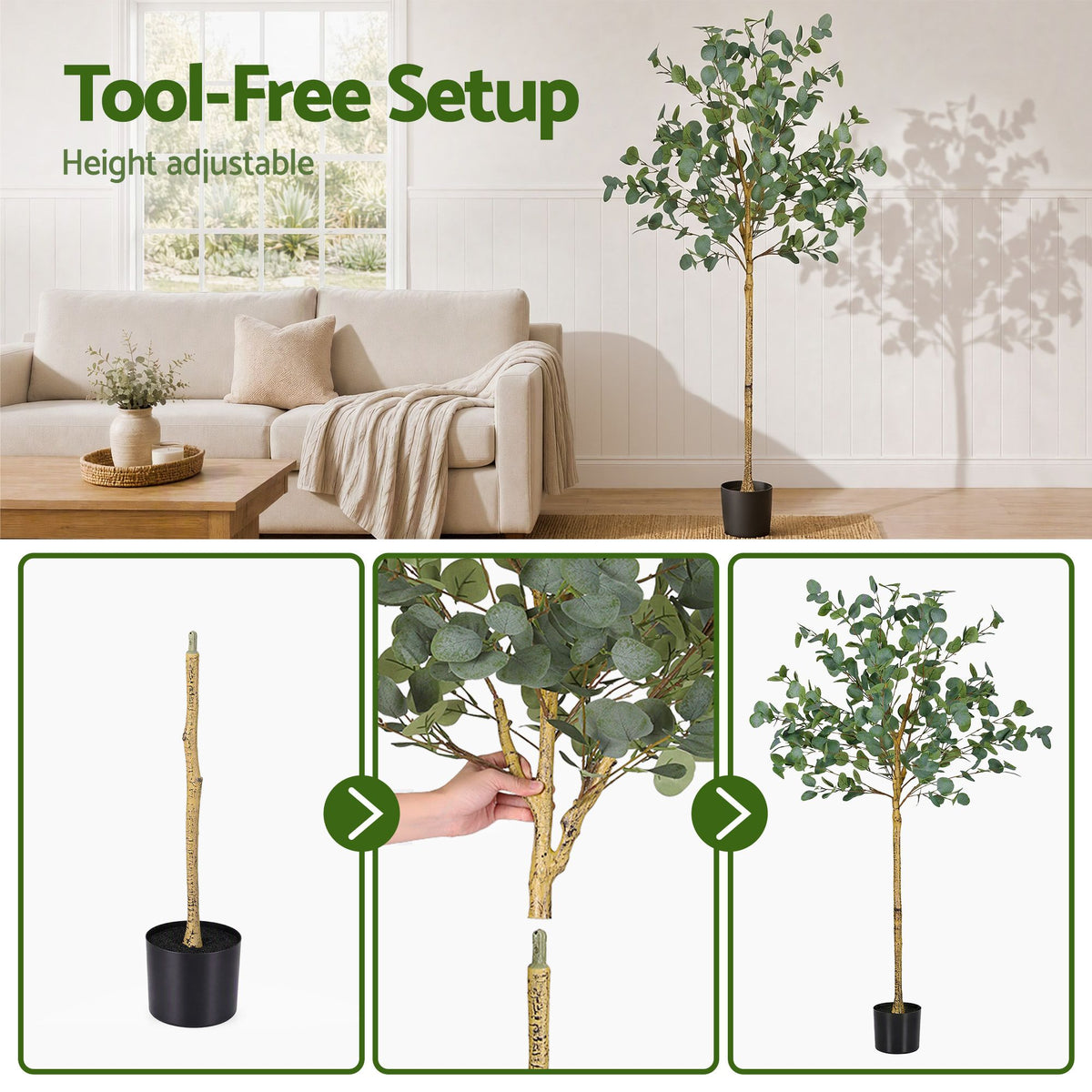 AP-TREE-EUCALY-150-02.jpg