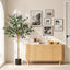 AP-TREE-EUCALY-150-06.jpg