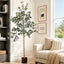 AP-TREE-EUCALY-180-00.jpg
