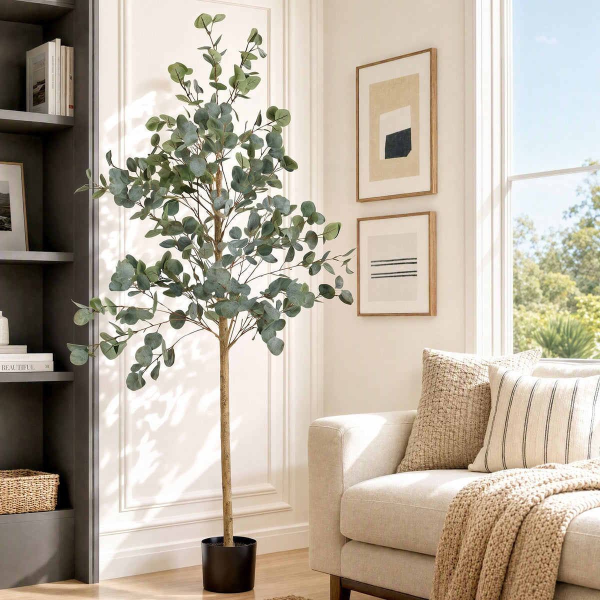 AP-TREE-EUCALY-180-00.jpg