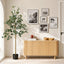 AP-TREE-EUCALY-180-06.jpg