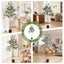 AP-TREE-EUCALY-180-07.jpg