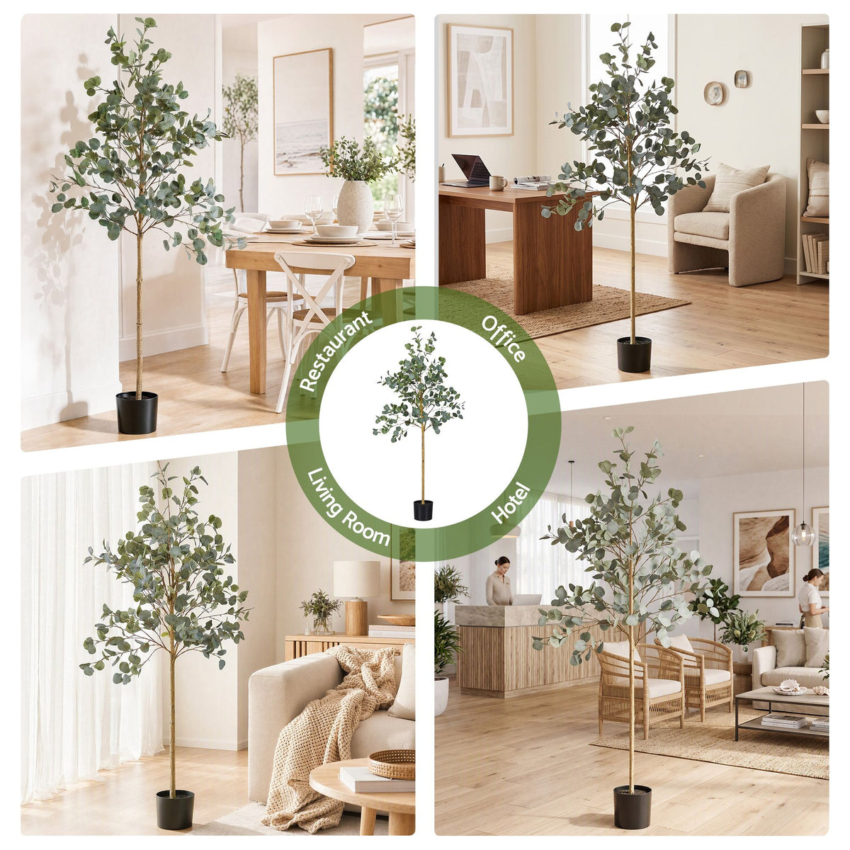 AP-TREE-EUCALY-180-07.jpg