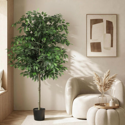 AP-TREE-FICUS-180-202603231800-00.jpg