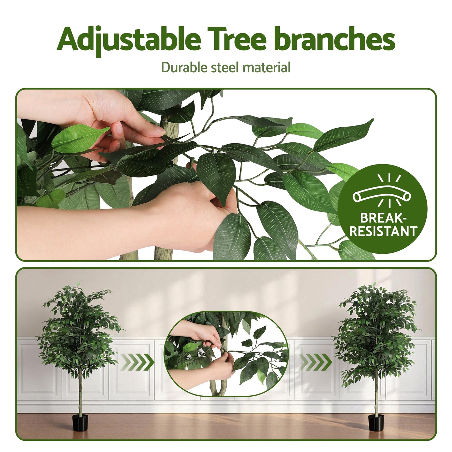 AP-TREE-FICUS-180-202603231800-04.jpg