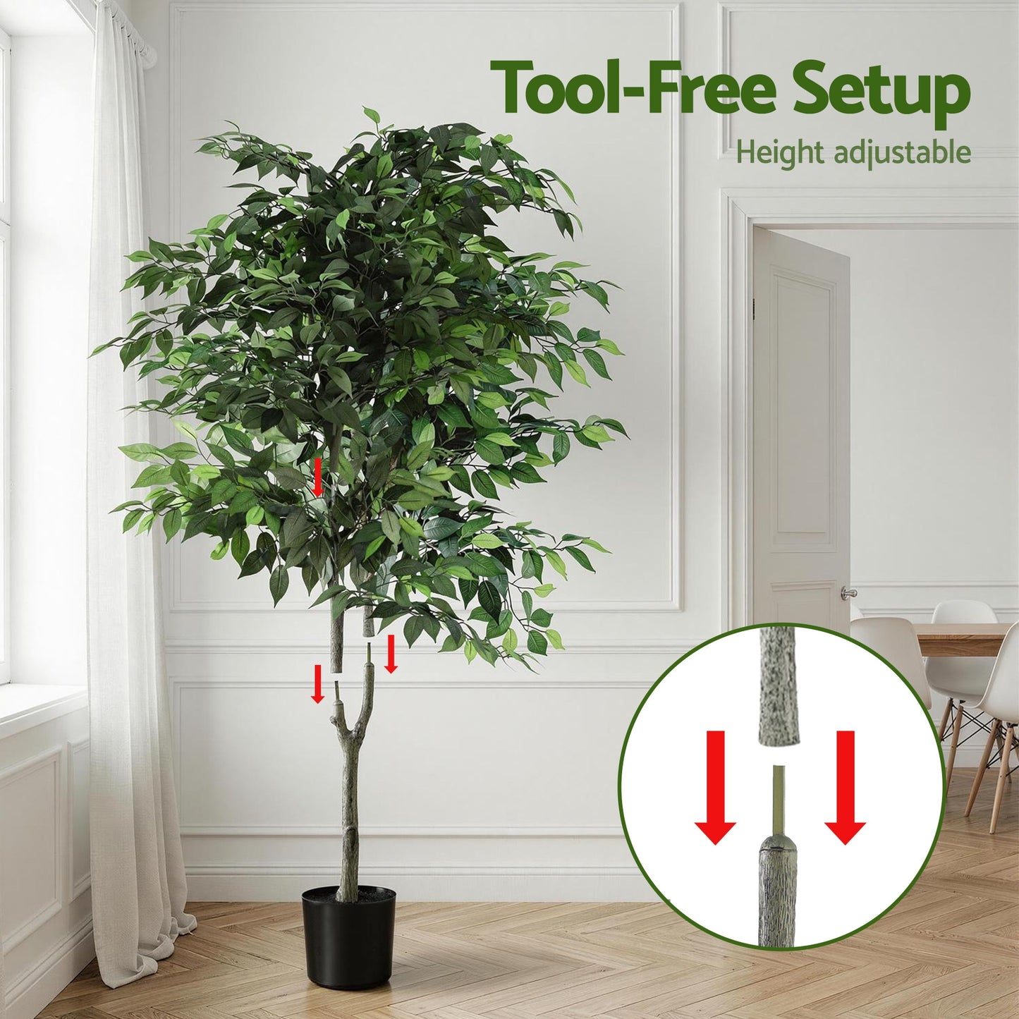AP-TREE-FICUS-180-202603231800-06.jpg