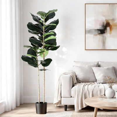 AP-TREE-FIDDLE-150-202603231800-00.jpg
