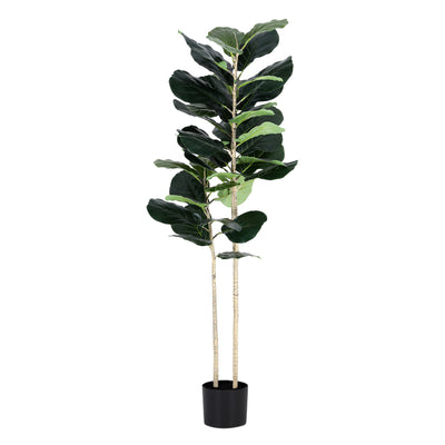 AP-TREE-FIDDLE-150-202603231800-01.jpg