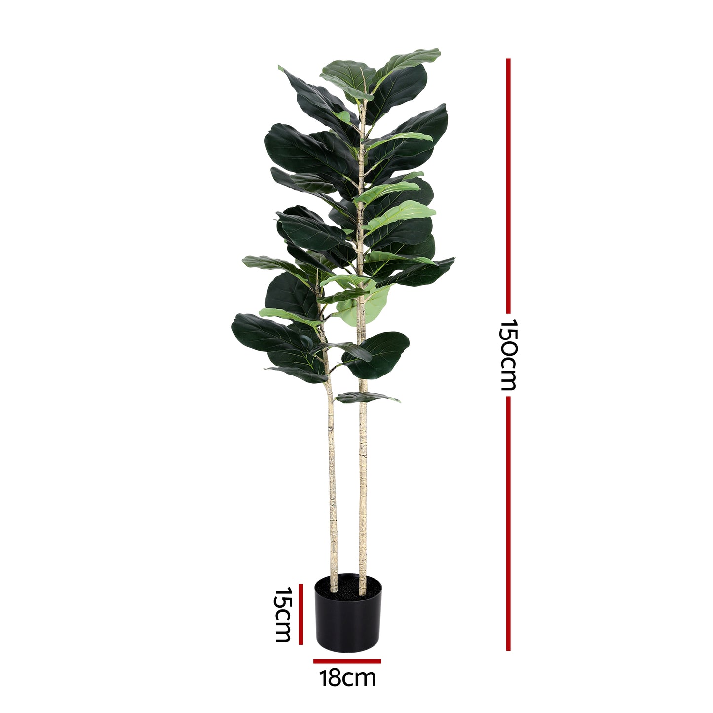 AP-TREE-FIDDLE-150-202603231800-02.jpg