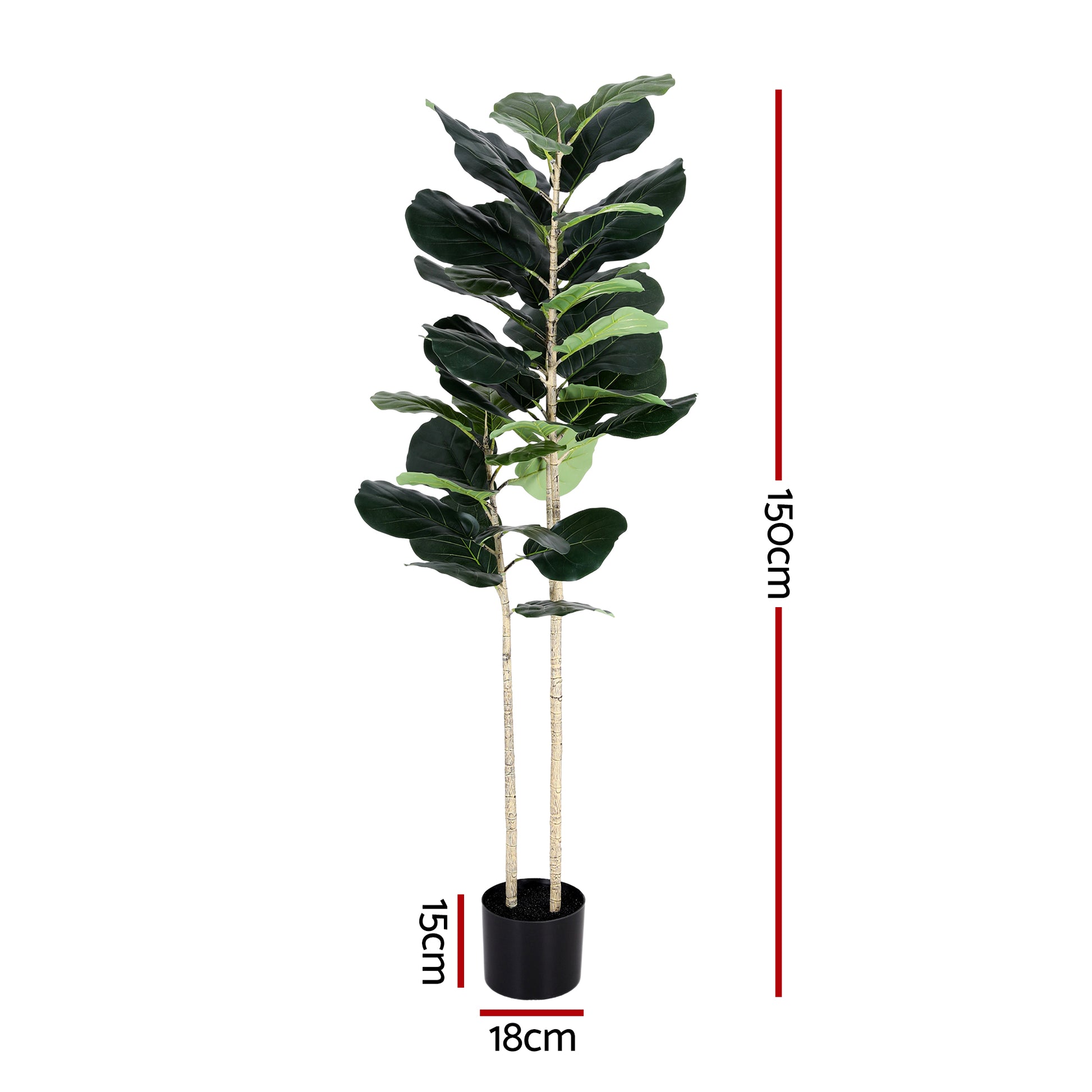 AP-TREE-FIDDLE-150-202603231800-02.jpg