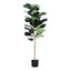 AP-TREE-FIDDLE-150-202603231800-03.jpg