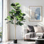 AP-TREE-FIDDLE-180-202603231800-00.jpg