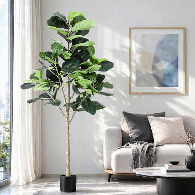 AP-TREE-FIDDLE-180-202603231800-00.jpg