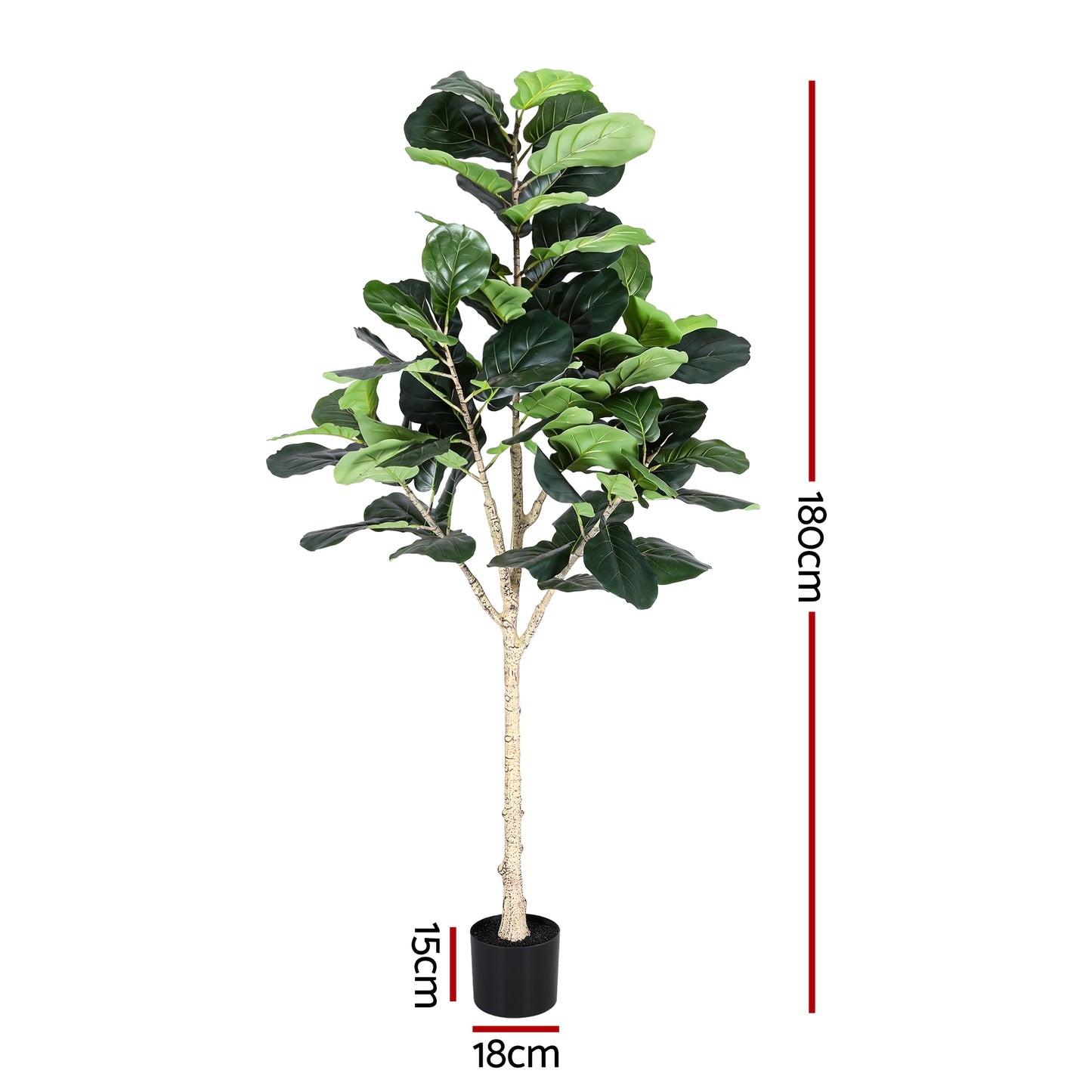 AP-TREE-FIDDLE-180-202603231800-02.jpg