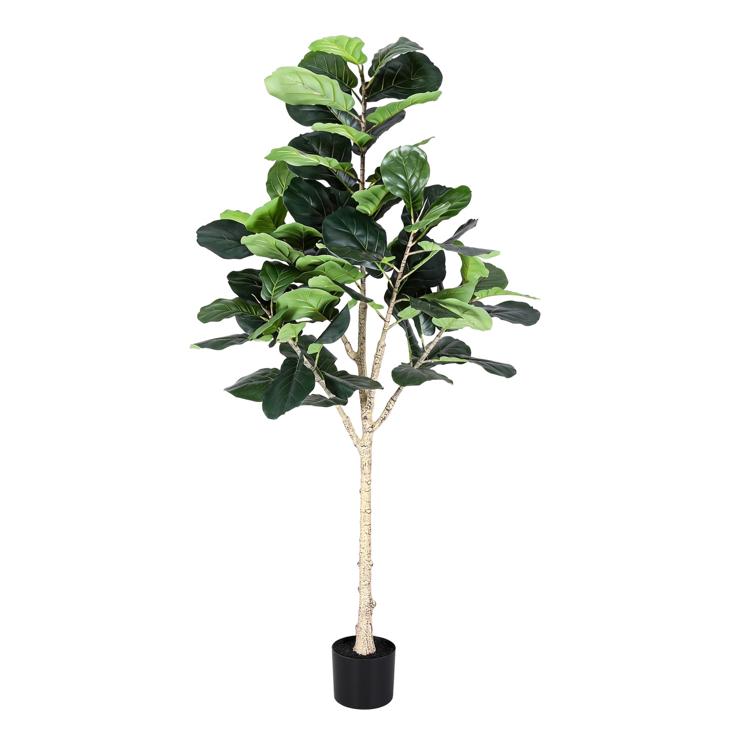 AP-TREE-FIDDLE-180-202603231800-03.jpg