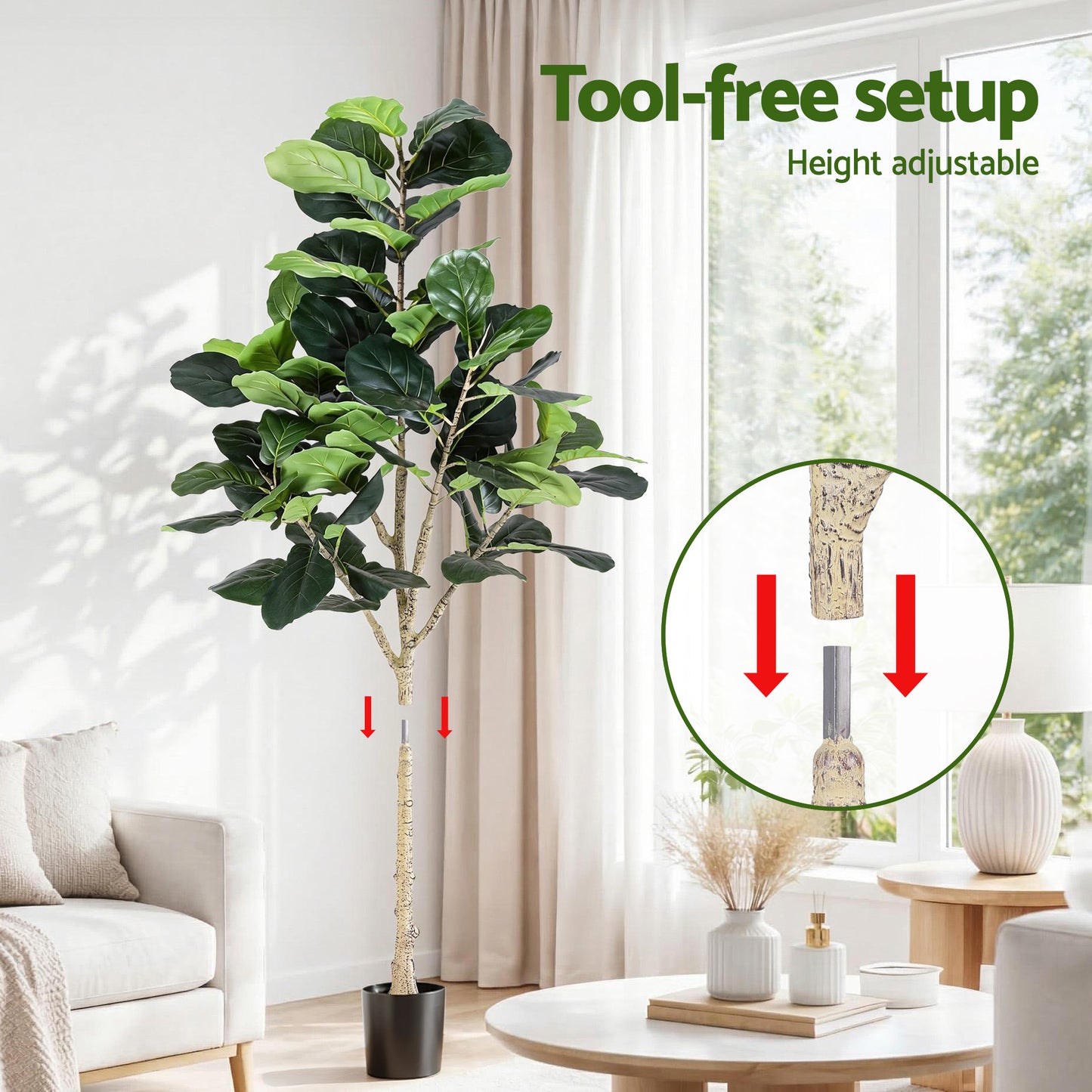 AP-TREE-FIDDLE-180-202603231800-06.jpg