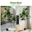 AP-TREE-FIDDLE-180-202603231800-08.jpg