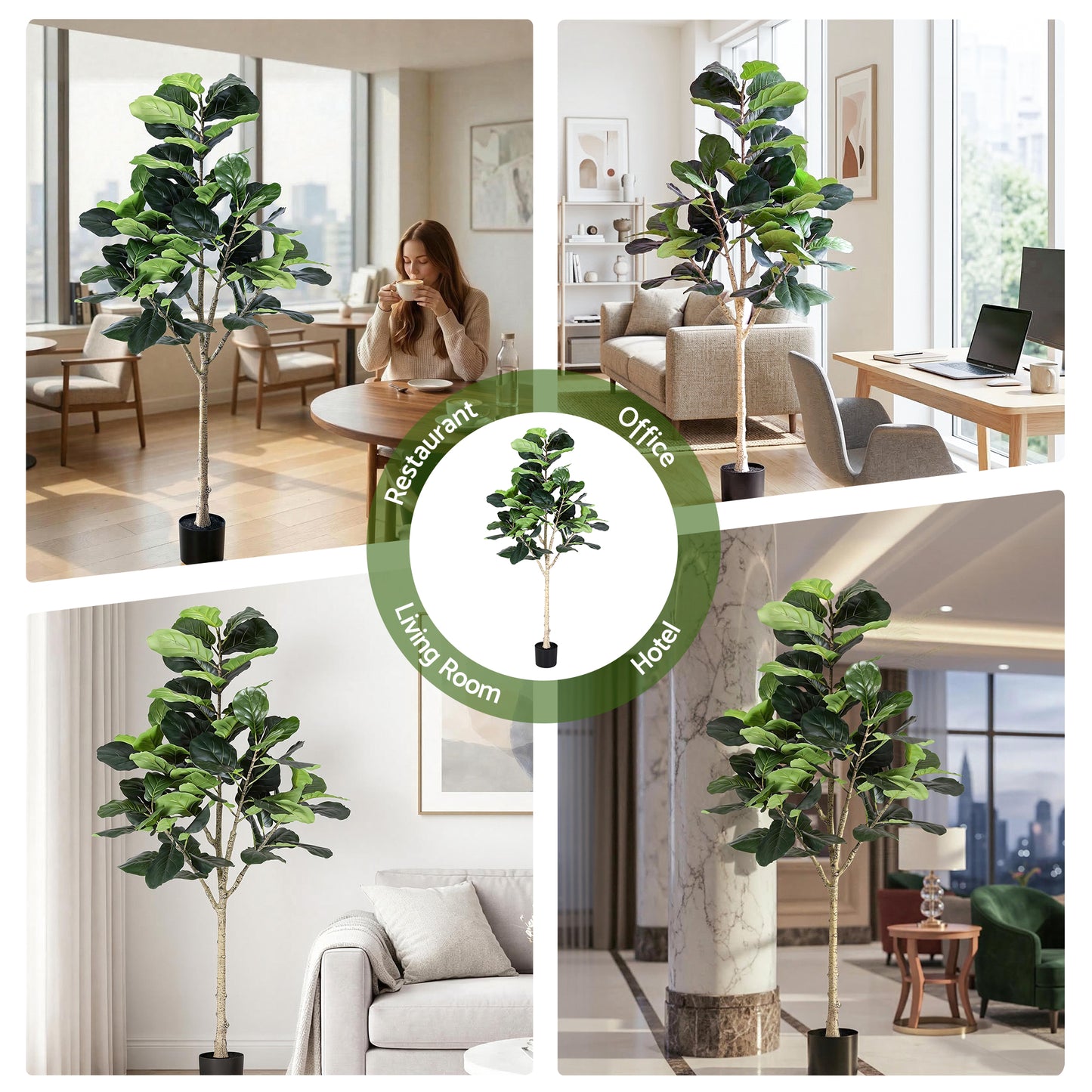 AP-TREE-FIDDLE-180-202603231800-09.jpg