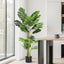 AP-TREE-MONS-140-202511072004-00.jpg