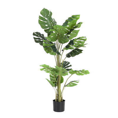 AP-TREE-MONS-140-202511072004-01.jpg