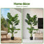 AP-TREE-MONS-140-202511072004-06.jpg
