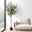 AP-TREE-OLIVE-155-202511052044-00.jpg