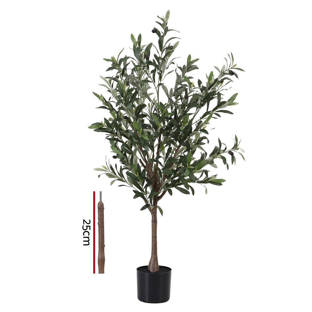 AP-TREE-OLIVE-155-202511052044-03.jpg