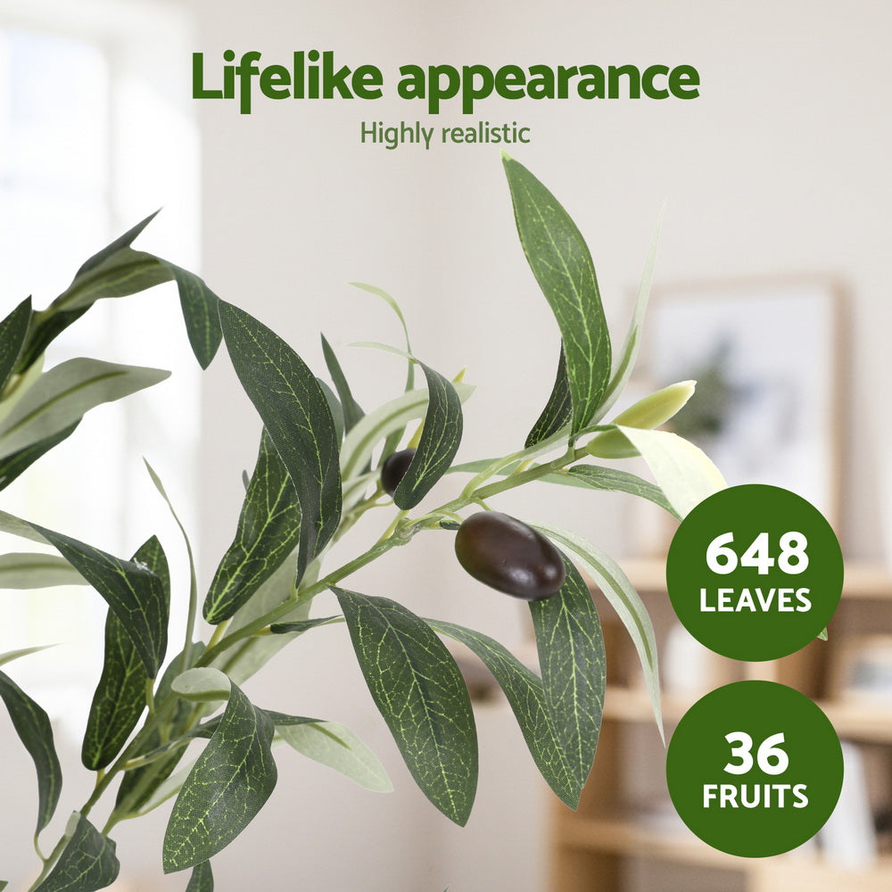 AP-TREE-OLIVE-155-202511052044-05.jpg