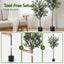AP-TREE-OLIVE-155-202511052044-06.jpg