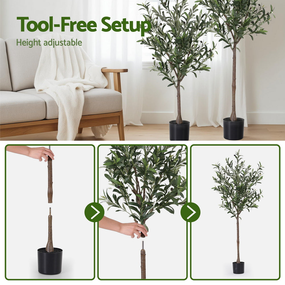 AP-TREE-OLIVE-155-202511052044-06.jpg