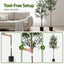 AP-TREE-OLIVE-180-202511052044-06.jpg