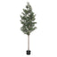 AP-TREE-OLIVE-210-202603231800-01.jpg