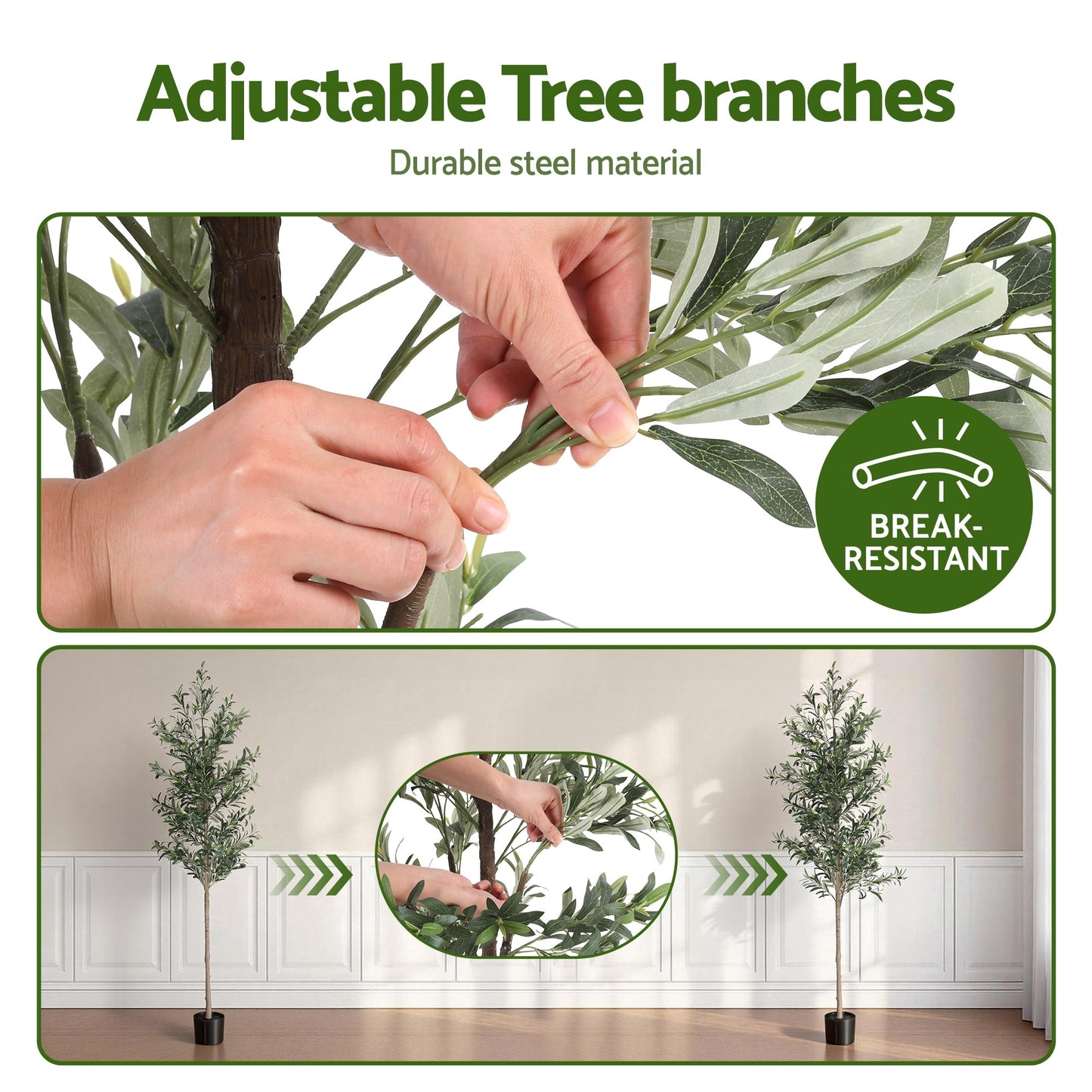 AP-TREE-OLIVE-210-202603231800-03.jpg