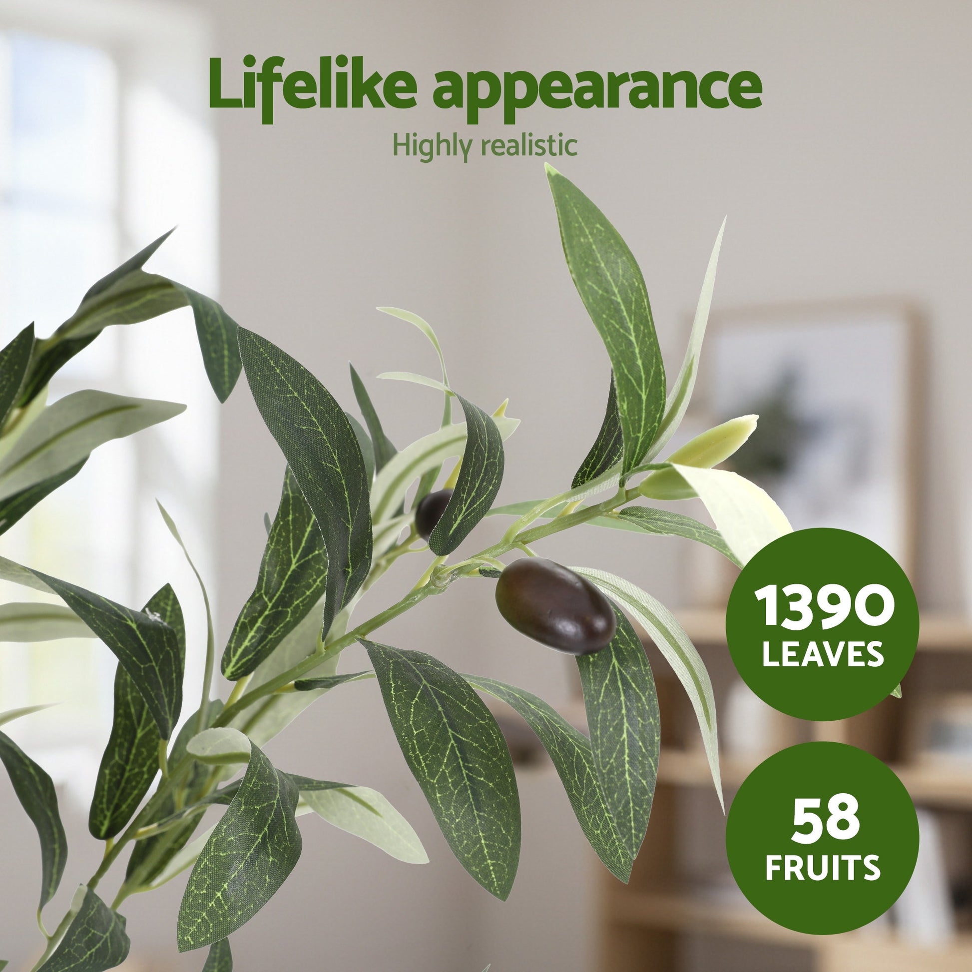 AP-TREE-OLIVE-210-202603231800-04.jpg