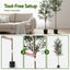 AP-TREE-OLIVE-210-202603231800-05.jpg