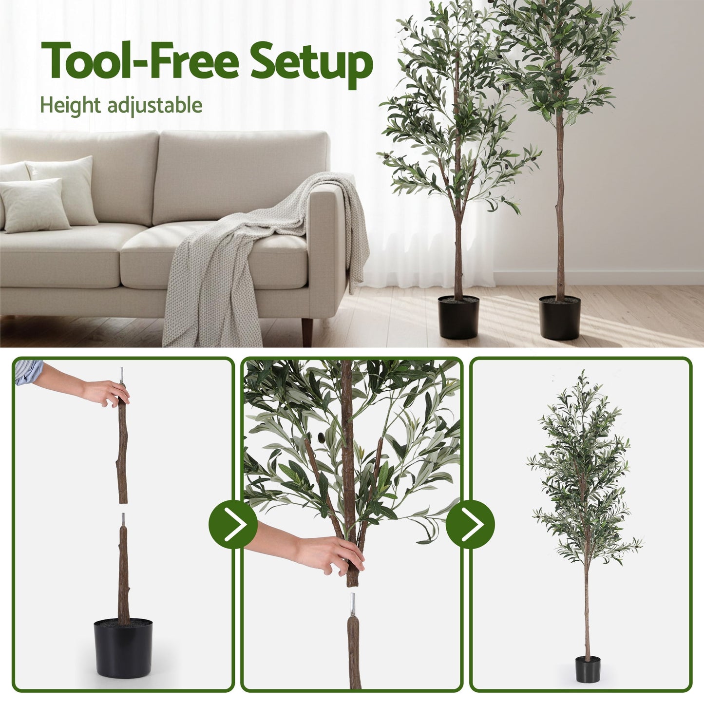 AP-TREE-OLIVE-210-202603231800-05.jpg