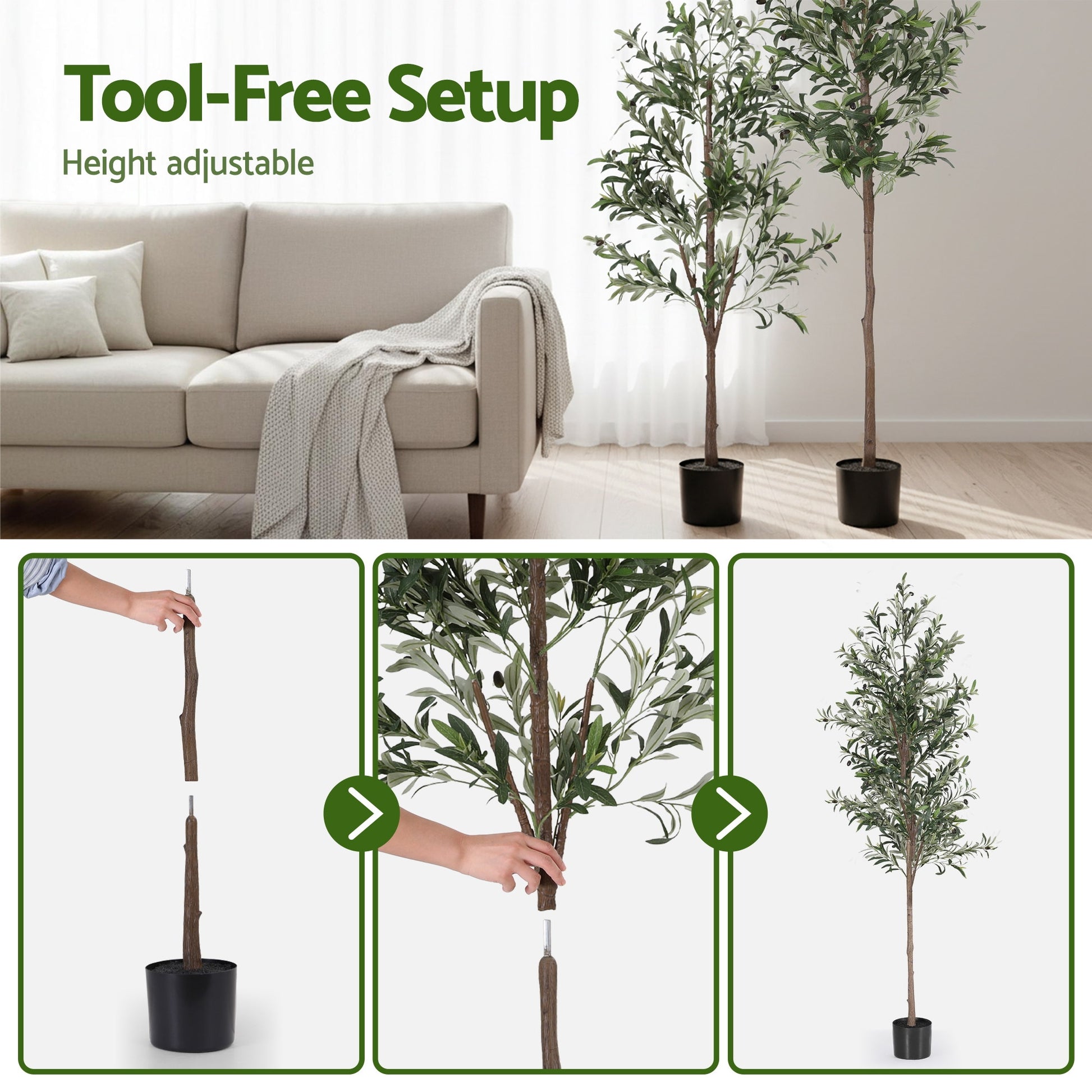 AP-TREE-OLIVE-210-202603231800-05.jpg