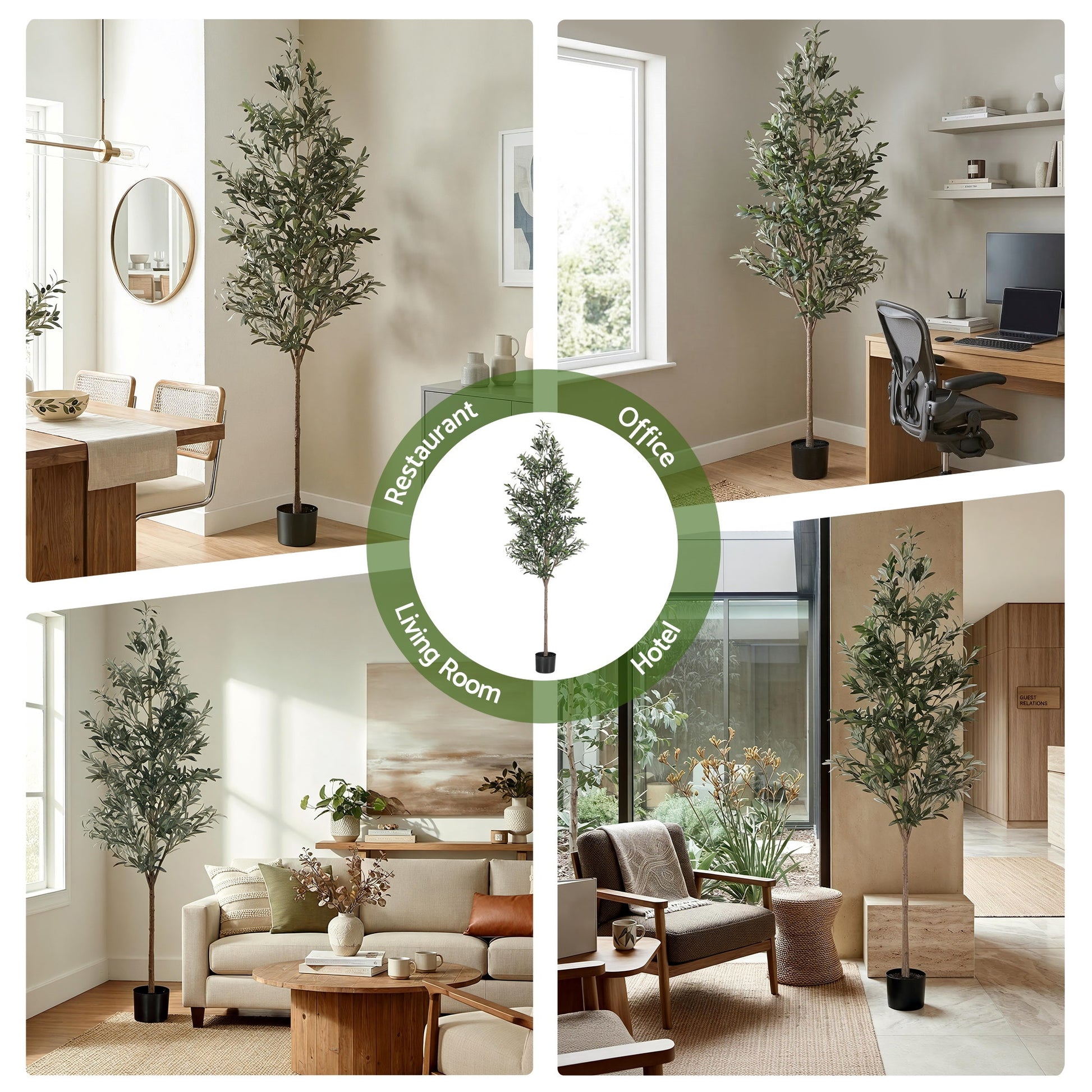 AP-TREE-OLIVE-210-202603231800-06.jpg