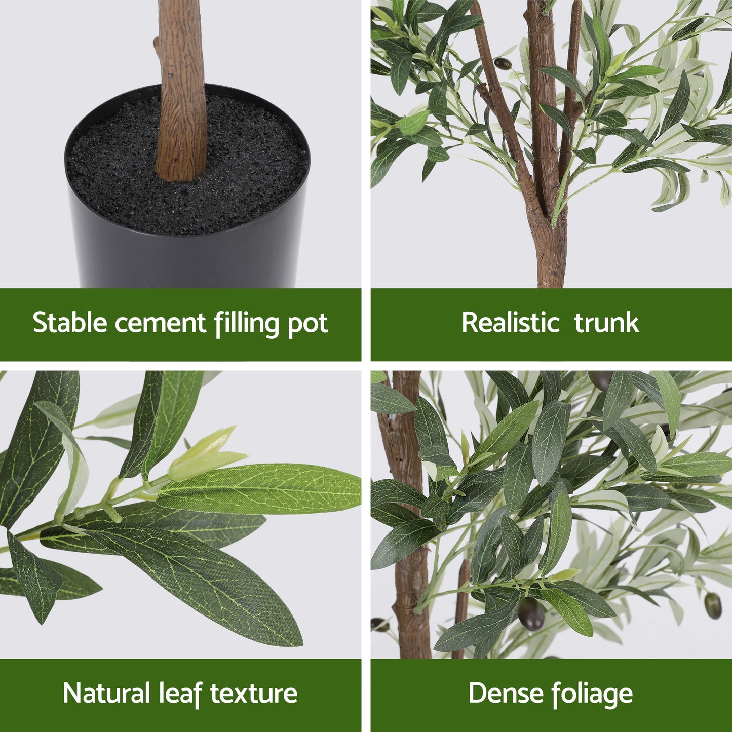 AP-TREE-OLIVE-210-202603231800-08.jpg