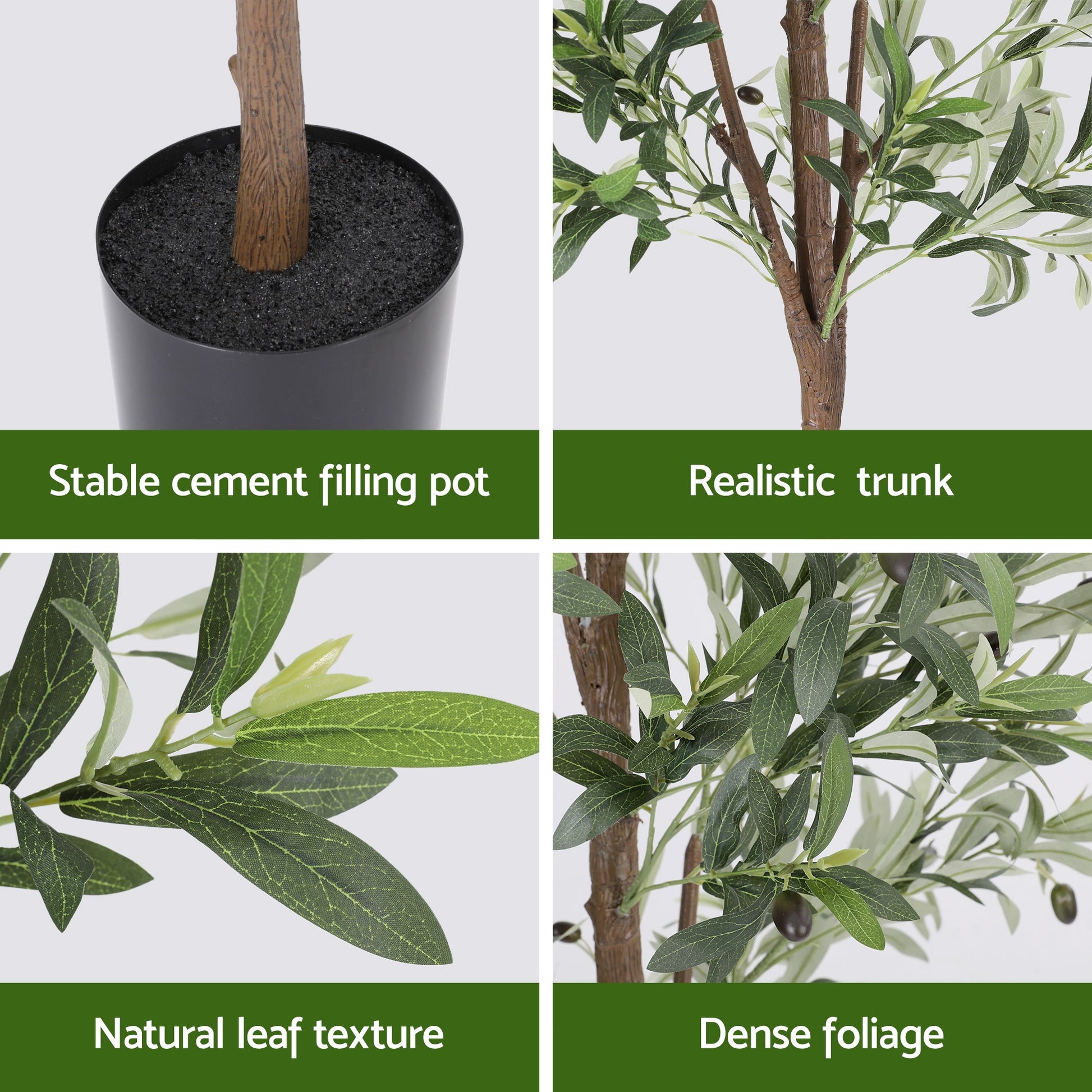 AP-TREE-OLIVE-210-202603231800-08.jpg