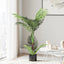 AP-TREE-PALM-100-202511072004-00.jpg