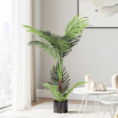 AP-TREE-PALM-100-202511072004-00.jpg