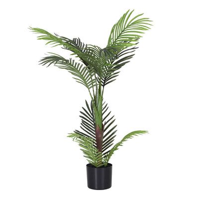 AP-TREE-PALM-100-202511072004-01.jpg