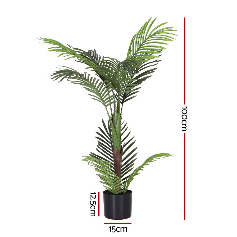 AP-TREE-PALM-100-202511072004-02.jpg