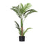 AP-TREE-PALM-100-202511072004-03.jpg