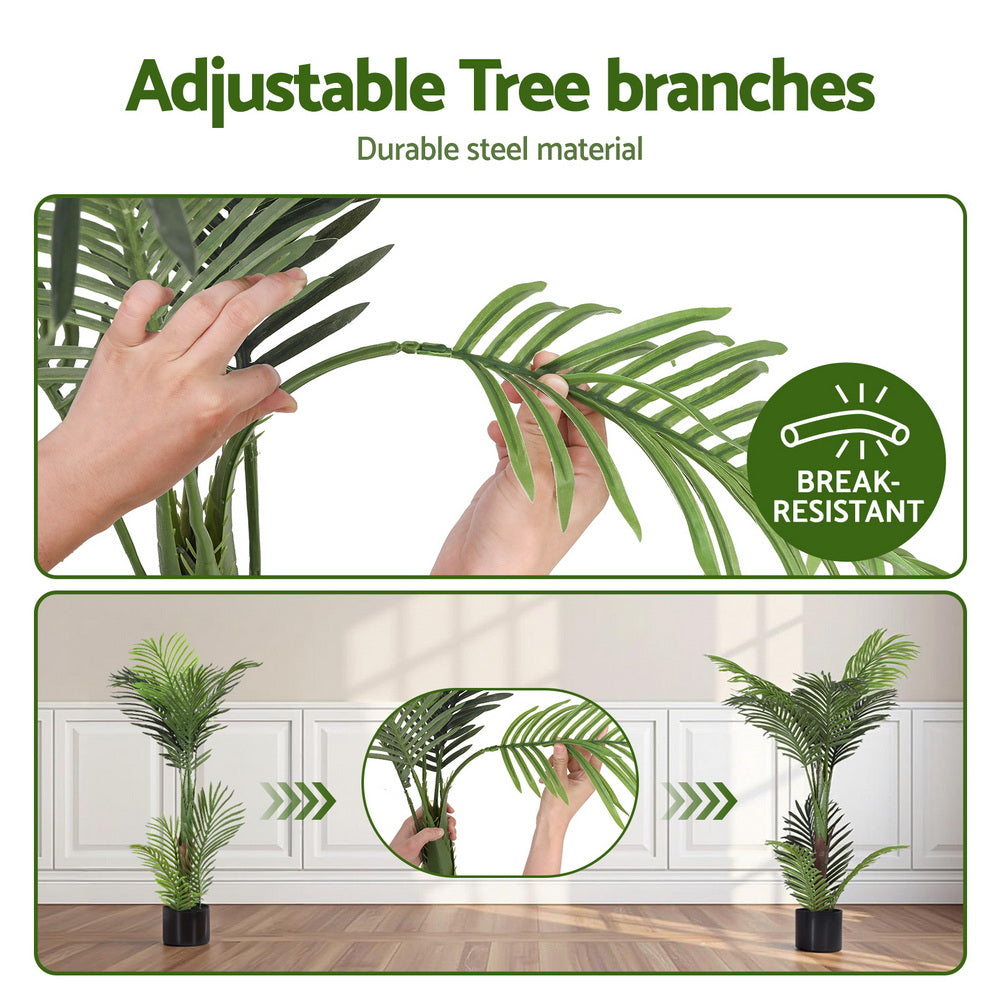 AP-TREE-PALM-100-202511072004-04.jpg